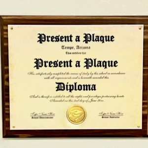 PWM114 - 11x14 Walnut Plaque Kit with Clear Acrylic - 10 pcs per case